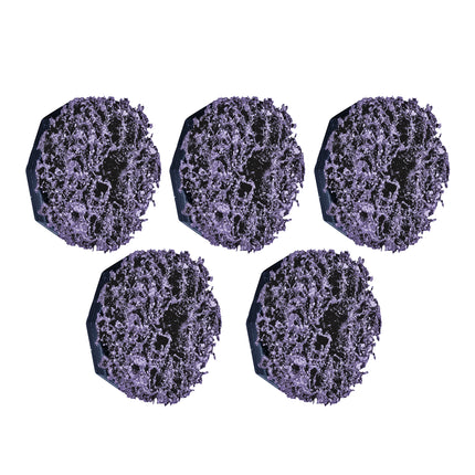 66198200 - Rough Spare Discs for 66198000 (5pc)